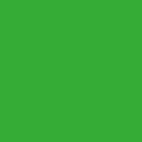 Americolor gellitur - Mintugrænn image