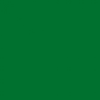Americolor gellitur - Laufgrænn image